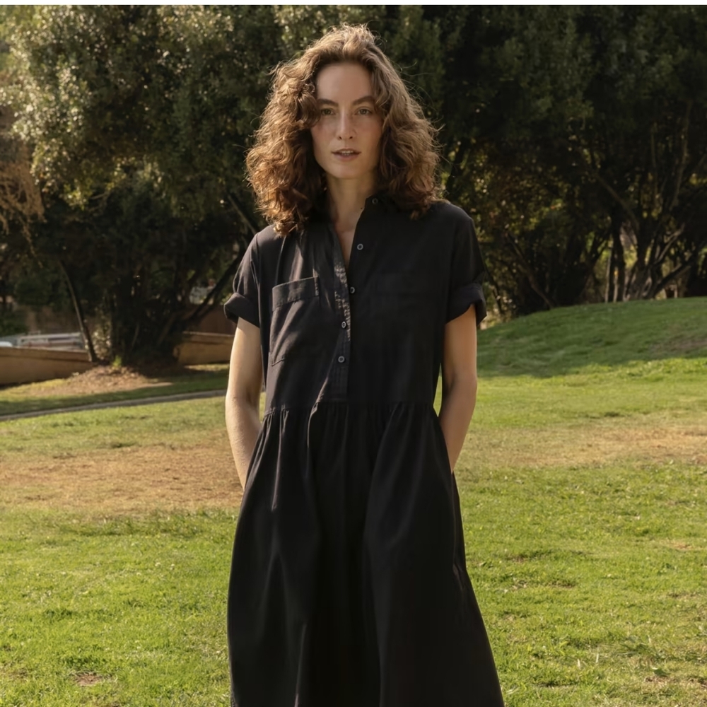 NWT Everlane Parklet Dress 8